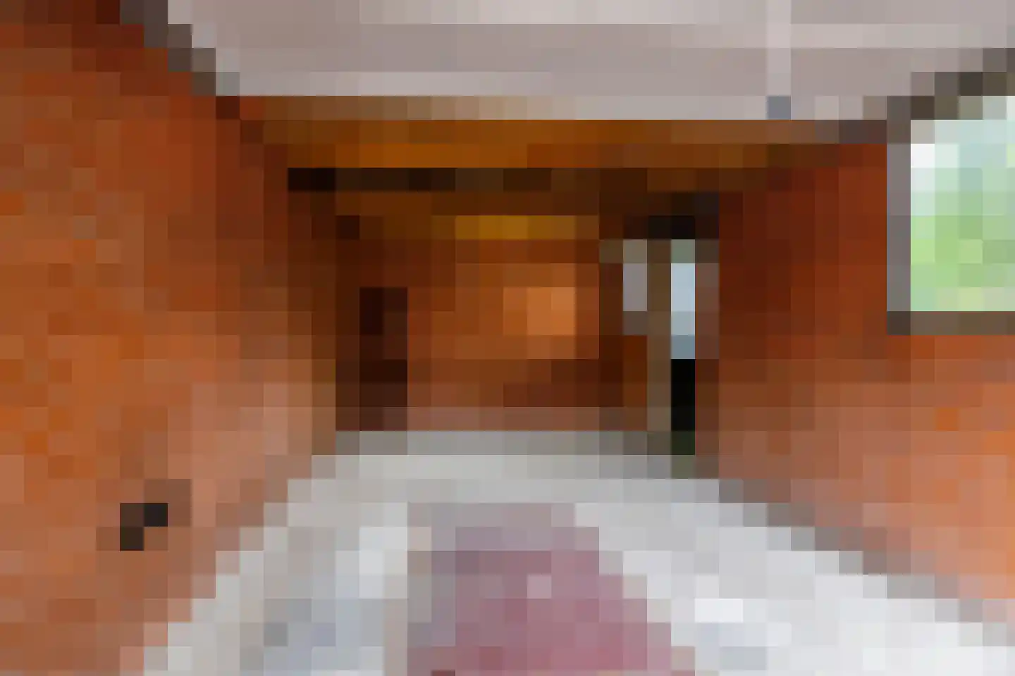 Tiphofweg 9 Zuidlaren thumbnail 33