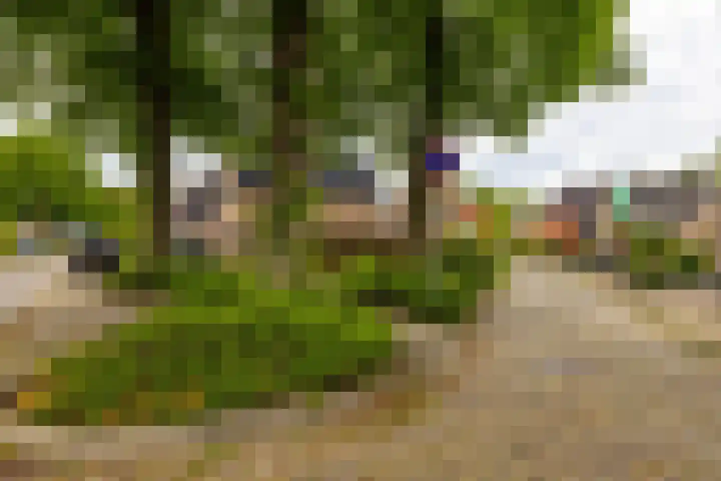 Tiphofweg 9 Zuidlaren thumbnail 35