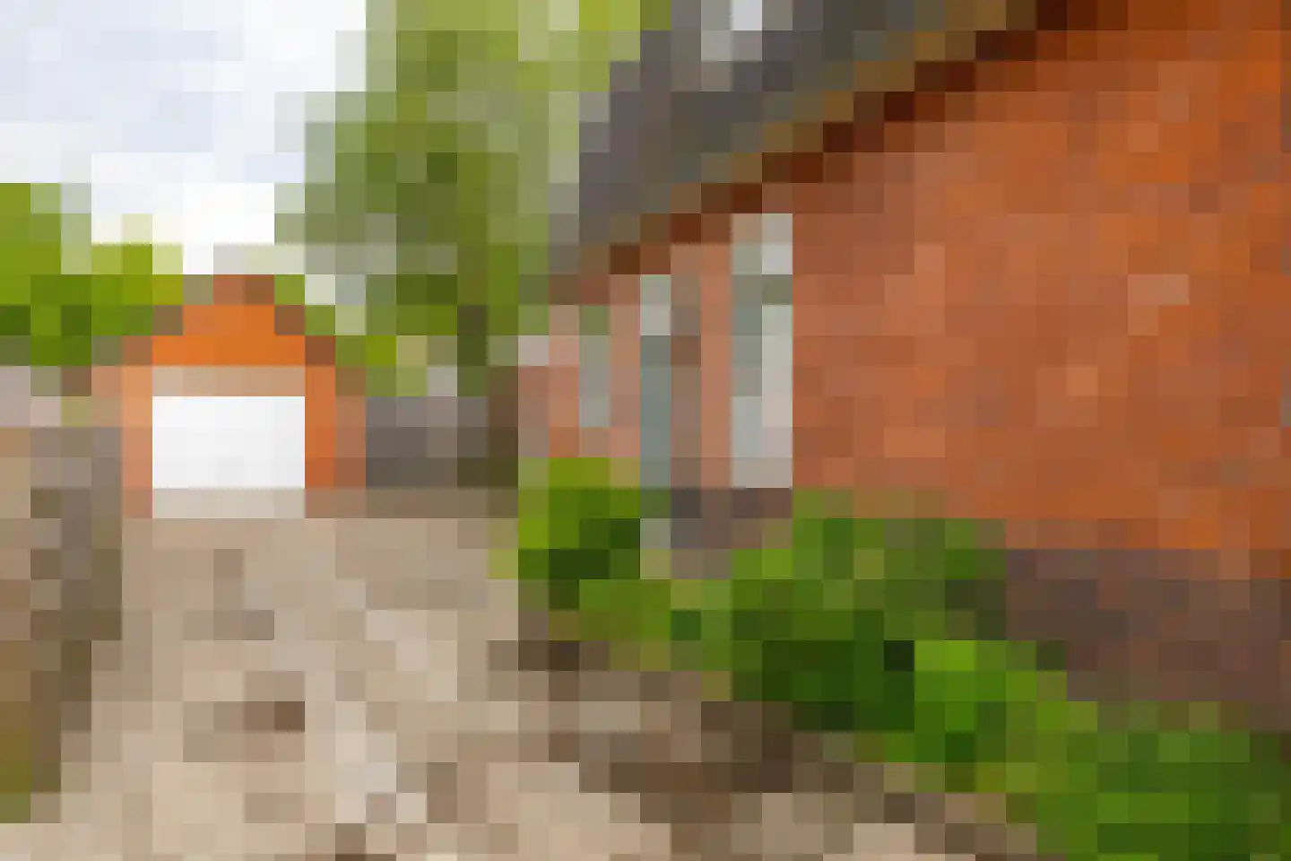 Tiphofweg 9 Zuidlaren thumbnail 7