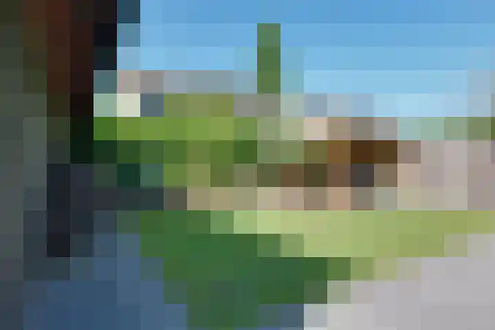 Tiplanden 1 Assen thumbnail 38