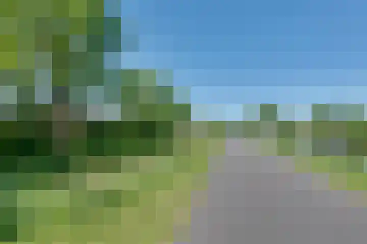 Tiplanden 1 Assen thumbnail 45