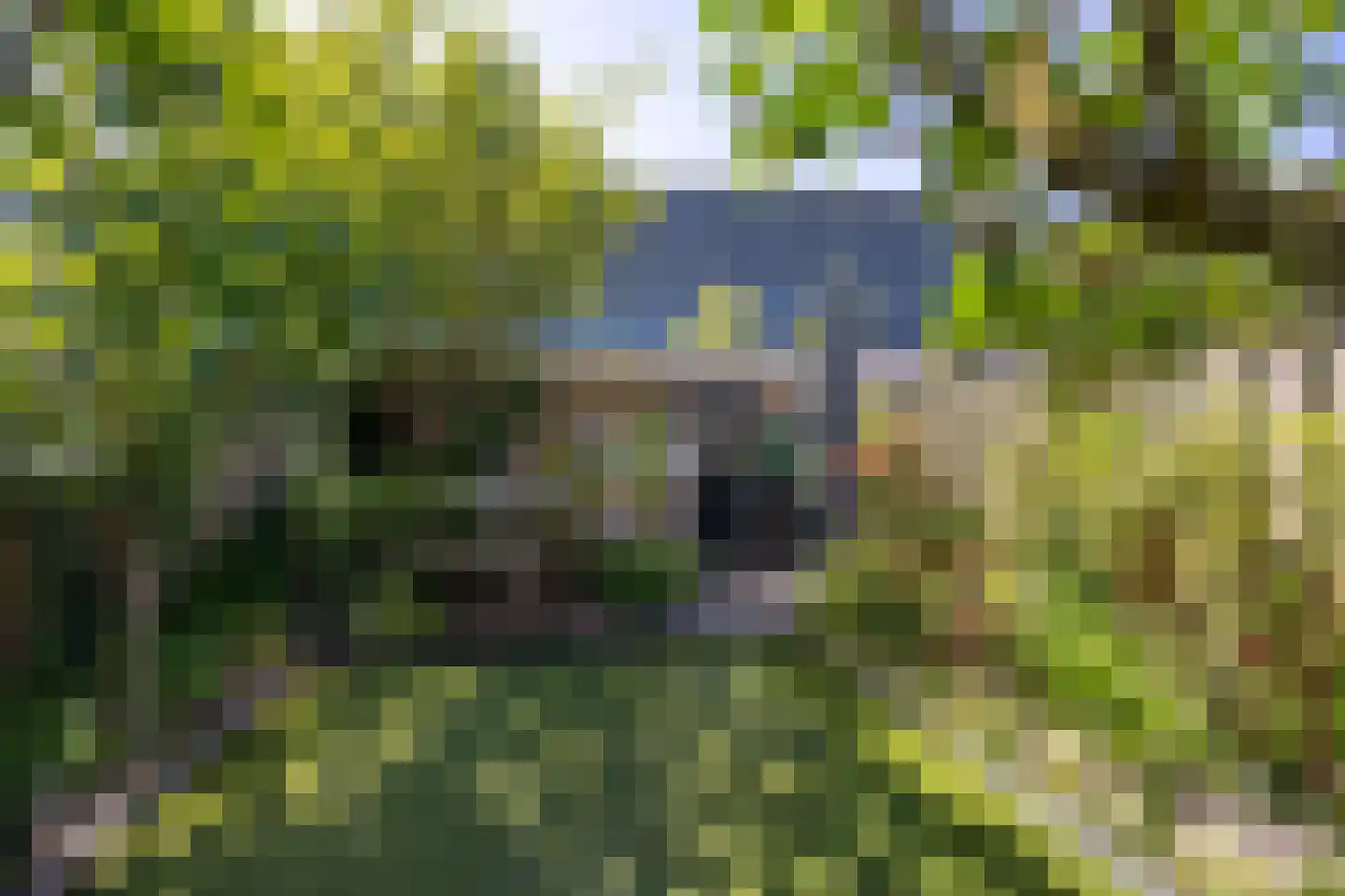 Tiranaplantsoen 10 Haarlem thumbnail 14