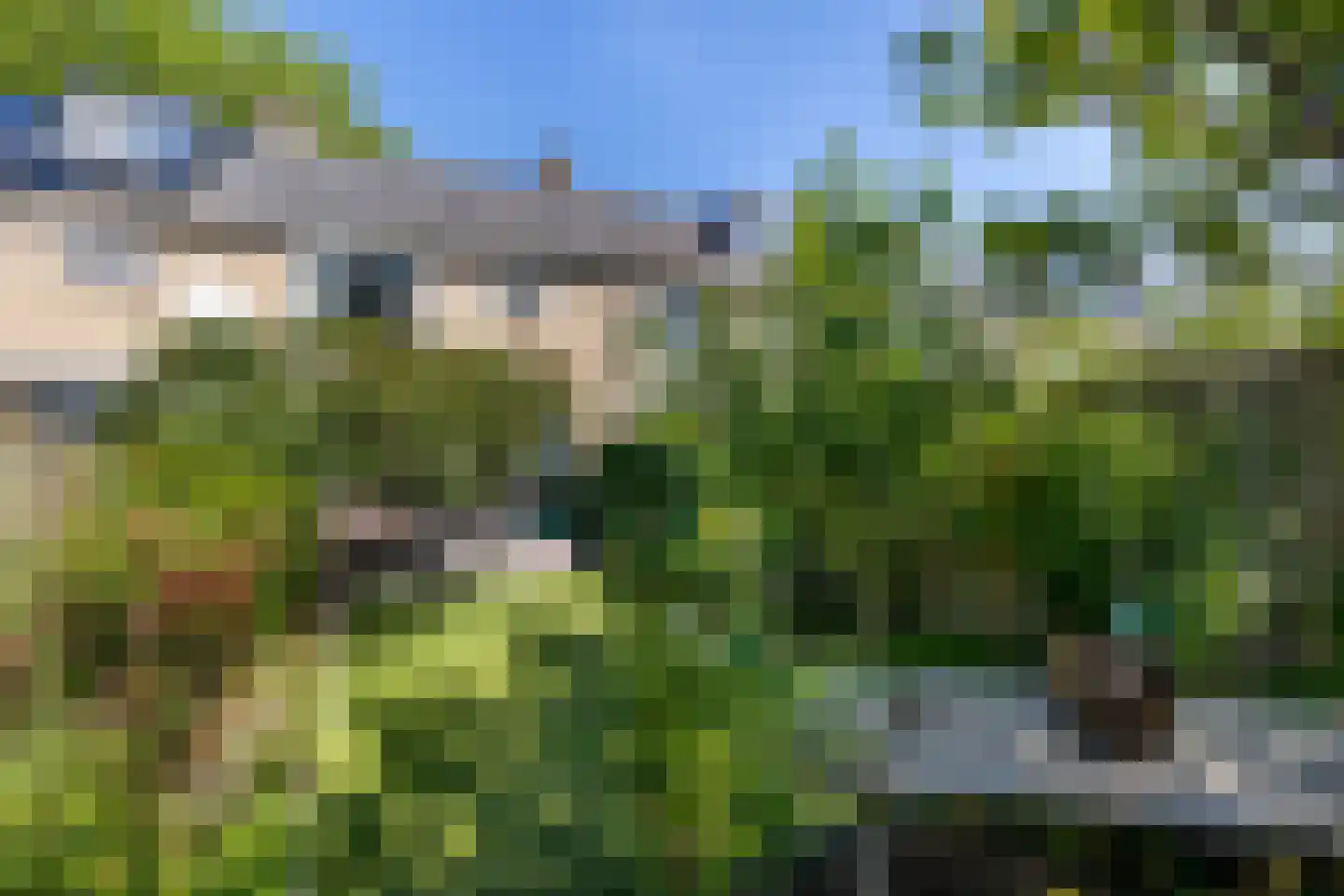 Tiranaplantsoen 10 Haarlem thumbnail 15