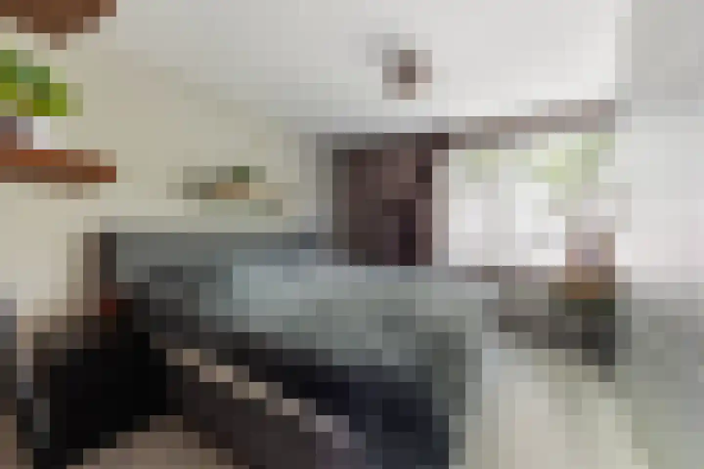 Tiranaplantsoen 10 Haarlem thumbnail 17