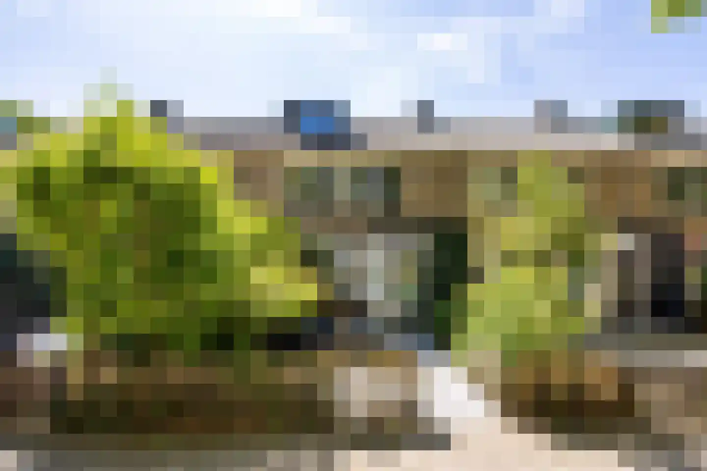 Tiranaplantsoen 10 Haarlem thumbnail 23