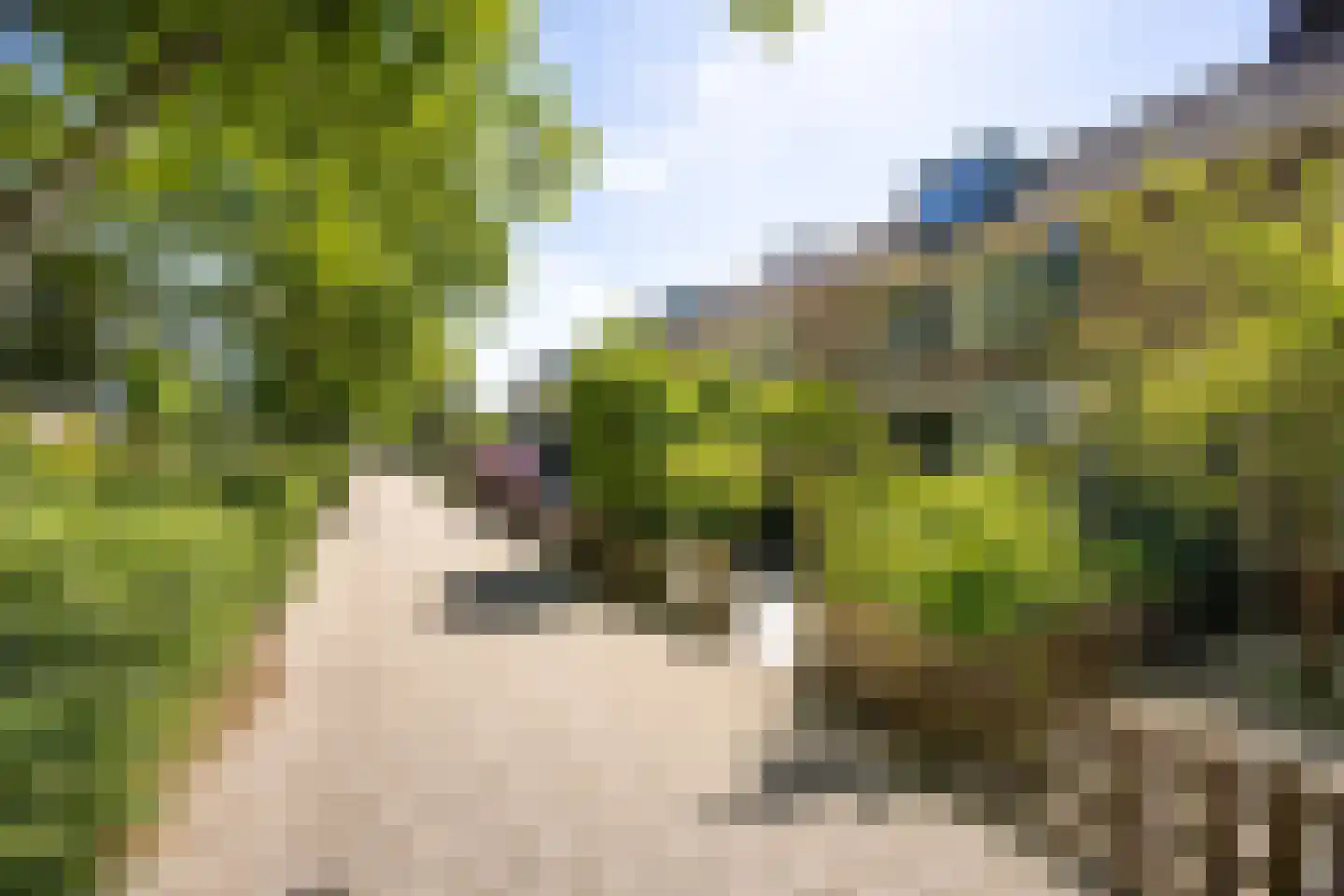 Tiranaplantsoen 10 Haarlem thumbnail 24