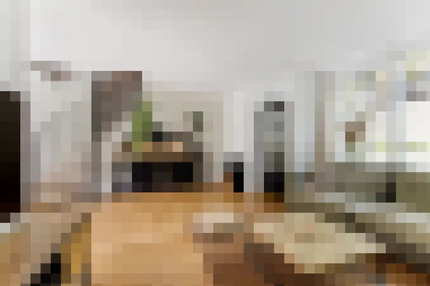 Tiranaplantsoen 10 Haarlem thumbnail 5