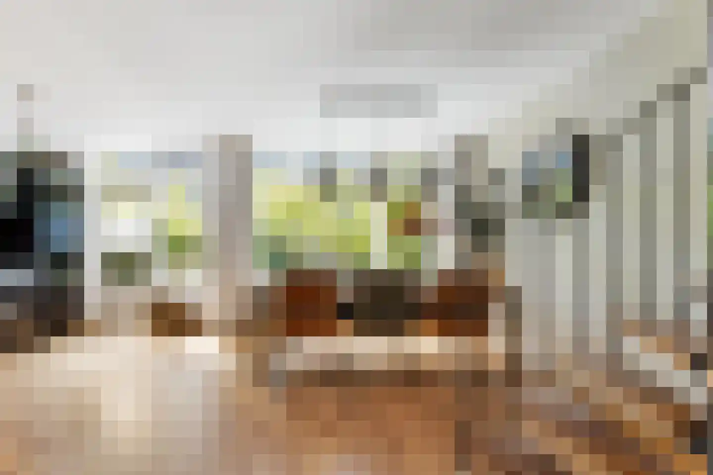 Tiranaplantsoen 10 Haarlem thumbnail 6
