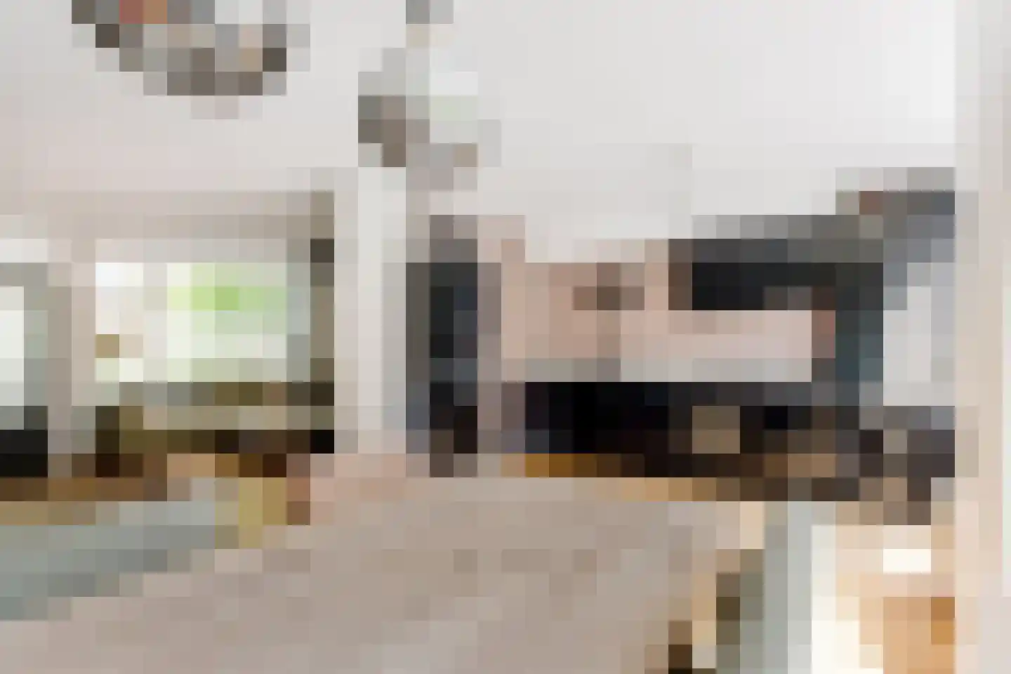 Tiranaplantsoen 10 Haarlem thumbnail 8