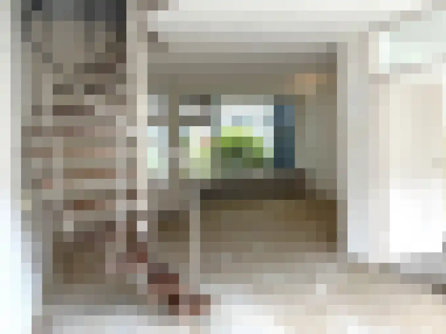 Tiranaplantsoen 6 Haarlem thumbnail 11