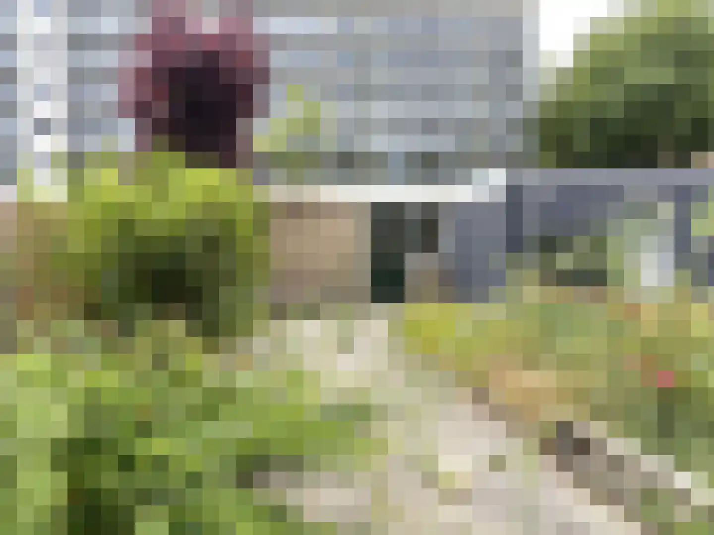 Tiranaplantsoen 6 Haarlem thumbnail 15