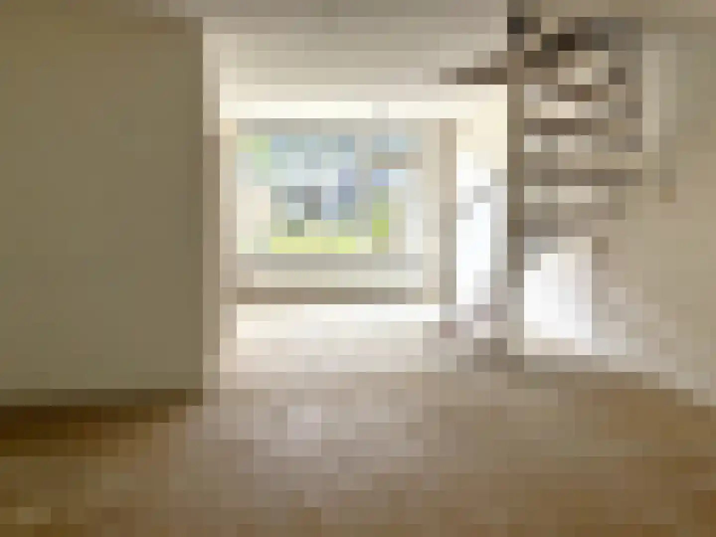 Tiranaplantsoen 6 Haarlem thumbnail 5