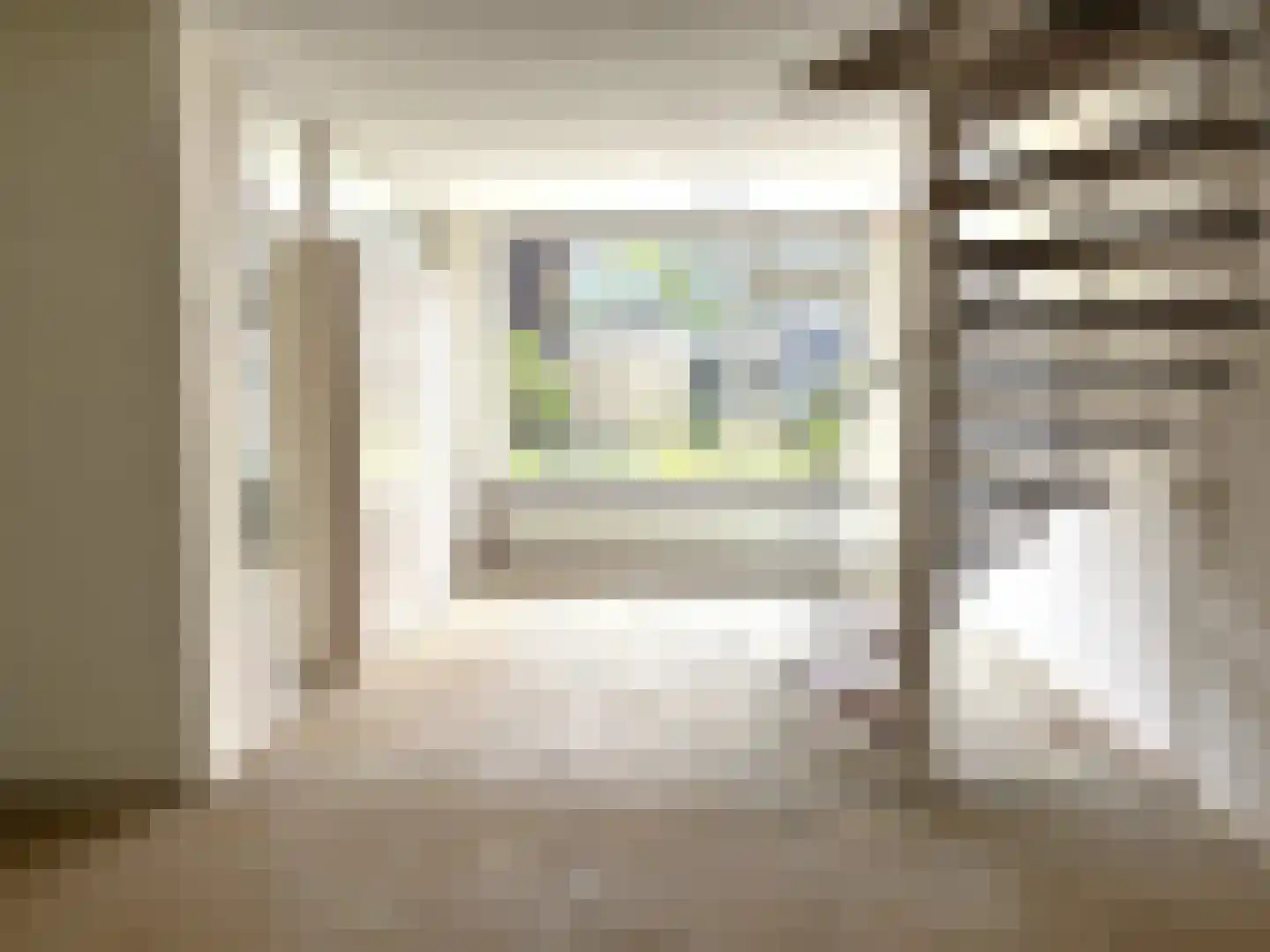 Tiranaplantsoen 6 Haarlem thumbnail 7