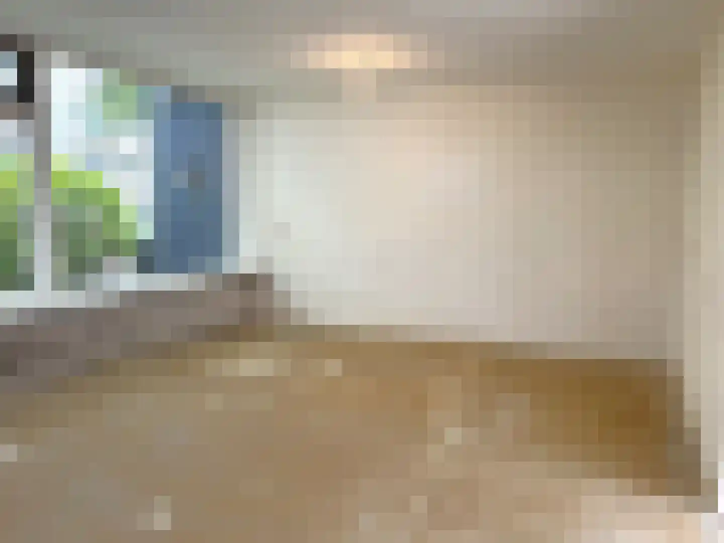 Tiranaplantsoen 6 Haarlem thumbnail 8