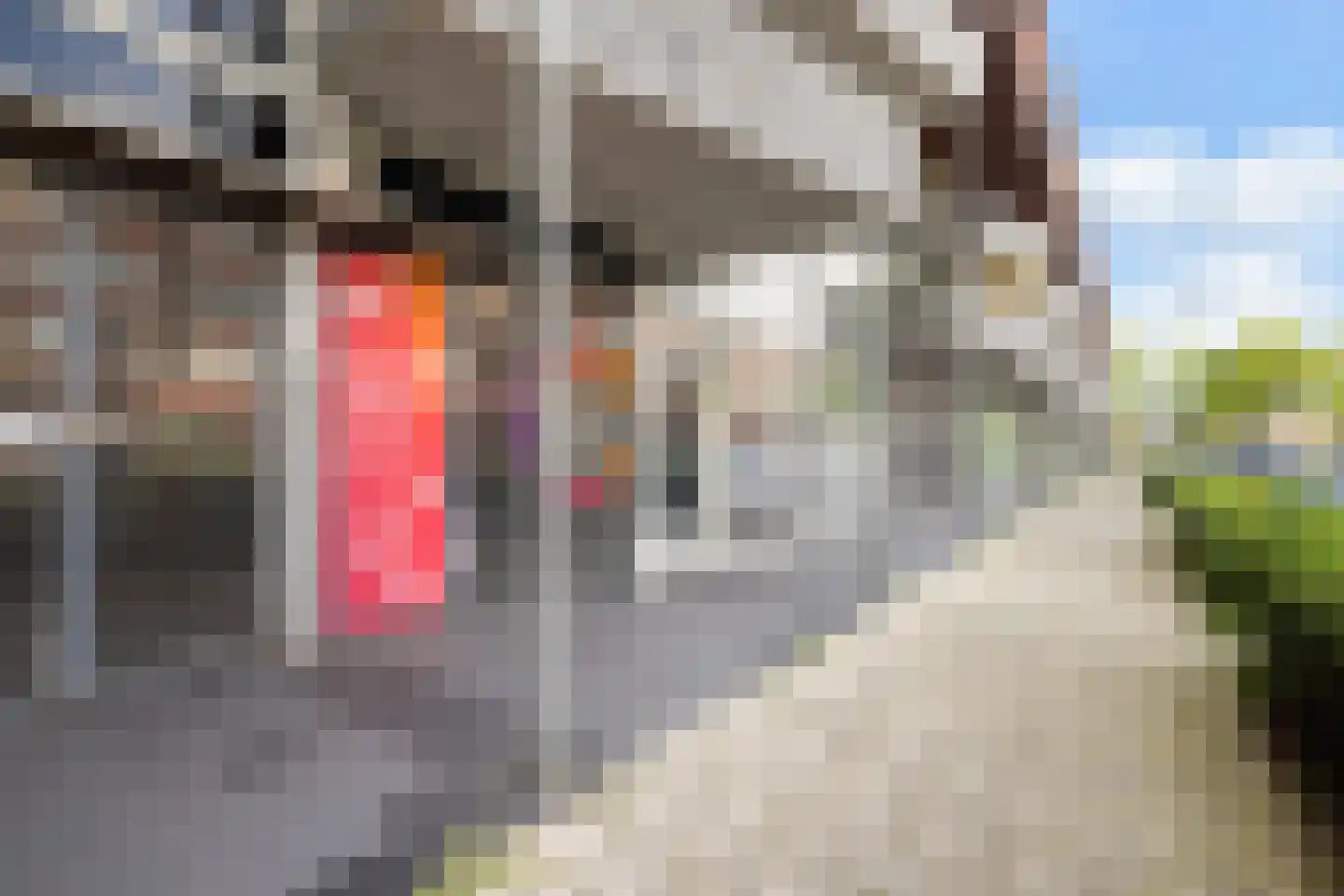 Tiranastraat 28 IJsselstein thumbnail 30