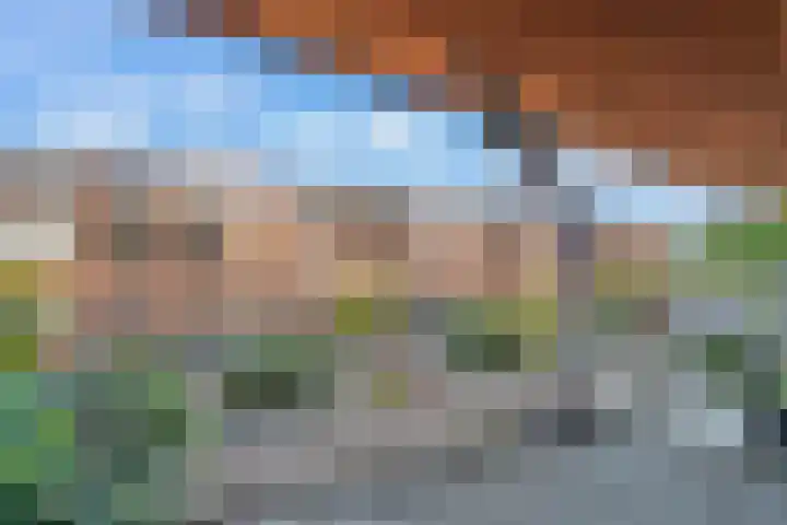 Tiranastraat 40 IJsselstein thumbnail 13