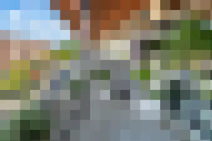 Tiranastraat 40 IJsselstein thumbnail 14