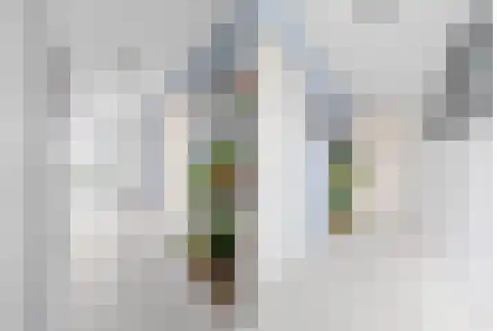 Tiranastraat 40 IJsselstein thumbnail 20