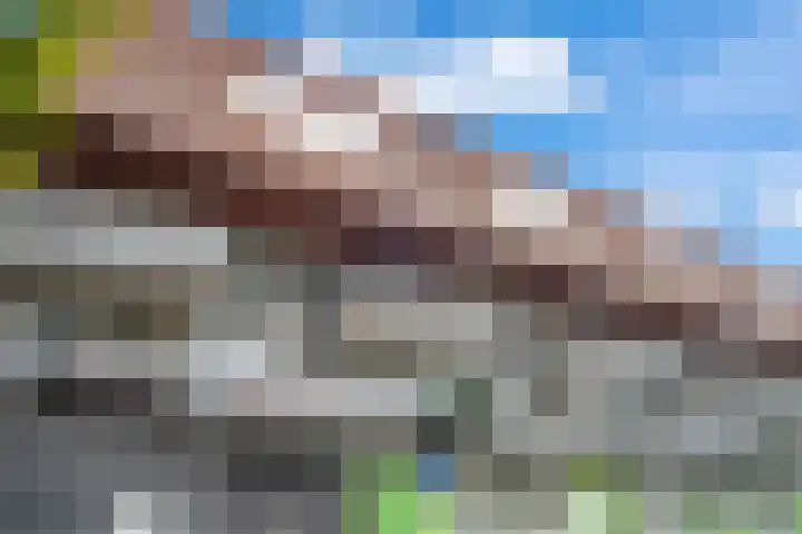 Tiranastraat 40 IJsselstein thumbnail 27
