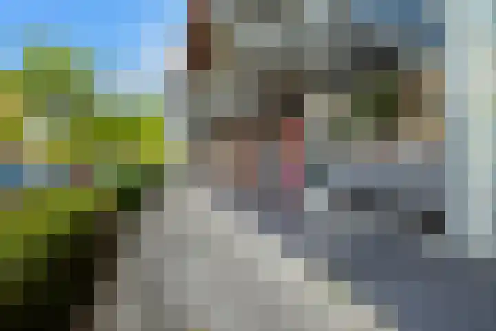 Tiranastraat 76 IJsselstein thumbnail 35