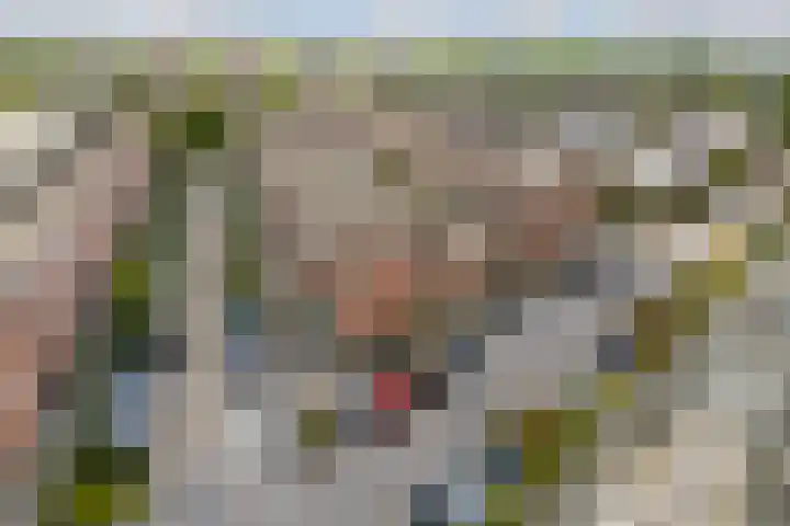 Tiranastraat 76 IJsselstein thumbnail 39