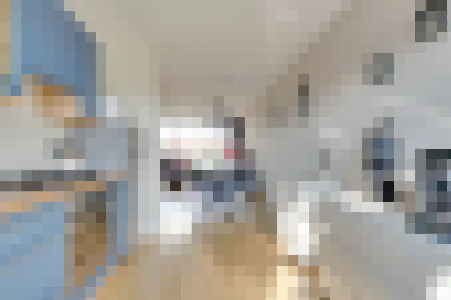 Tiranastraat 80 IJsselstein thumbnail 17