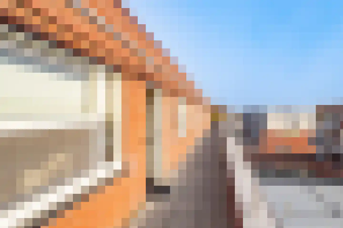 Tiranastraat 80 IJsselstein thumbnail 4