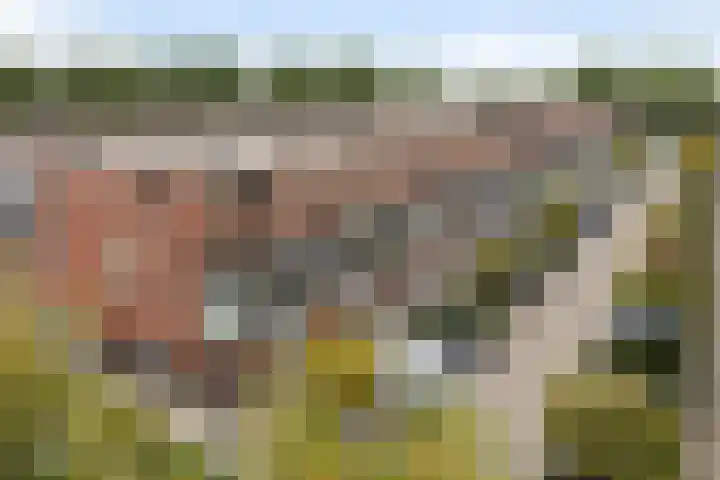 Tiranastraat 84 IJsselstein thumbnail 37