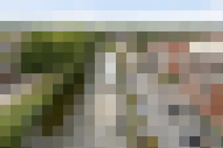 Tiranastraat 84 IJsselstein thumbnail 38