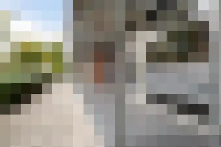 Tiranastraat 84 IJsselstein thumbnail 6