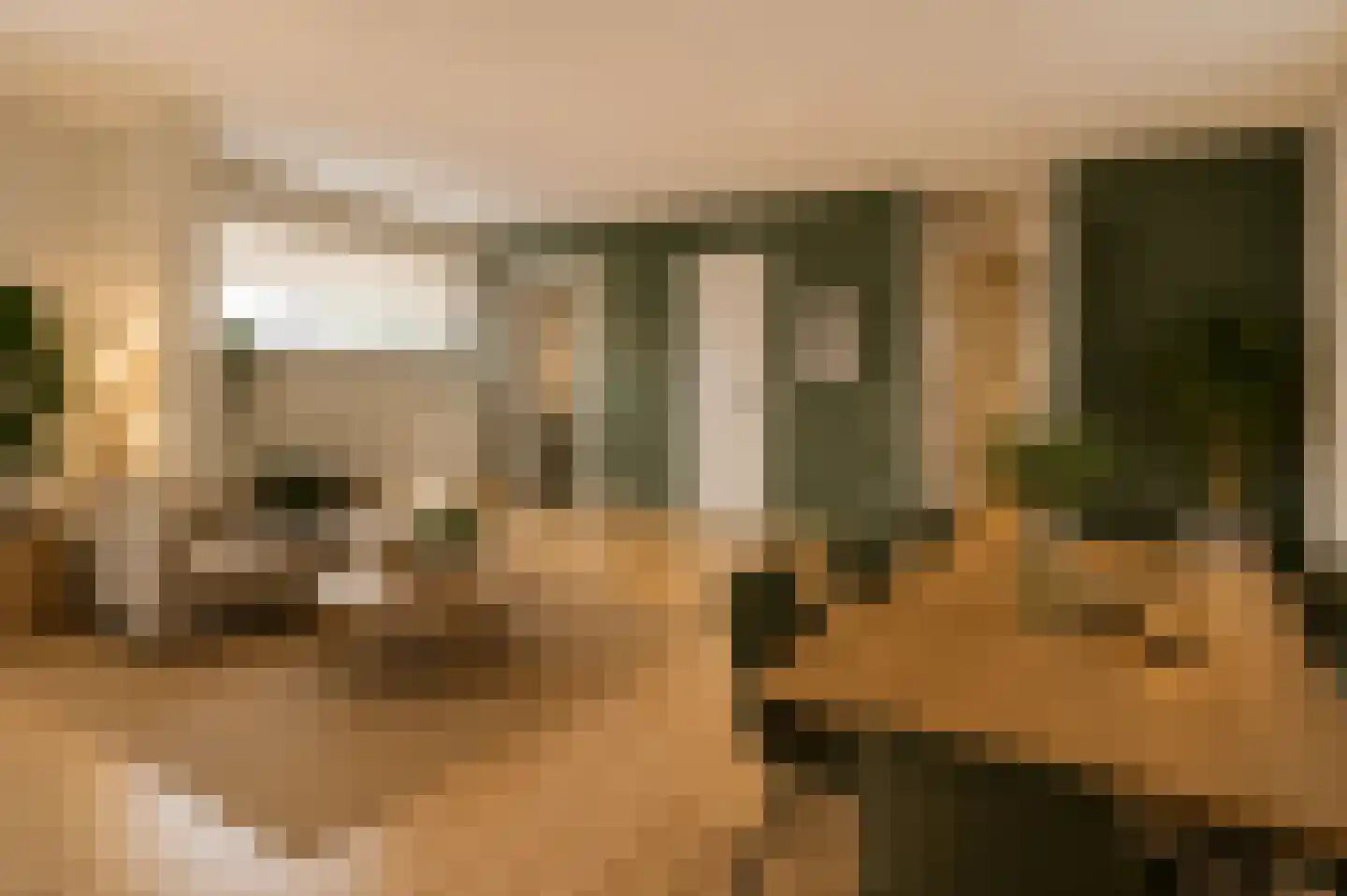 Tirionstraat 49 Zevenhuizen thumbnail 14