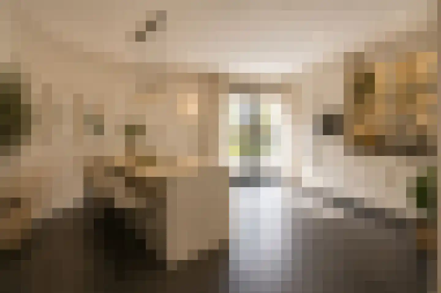 Tirionstraat 49 Zevenhuizen thumbnail 17