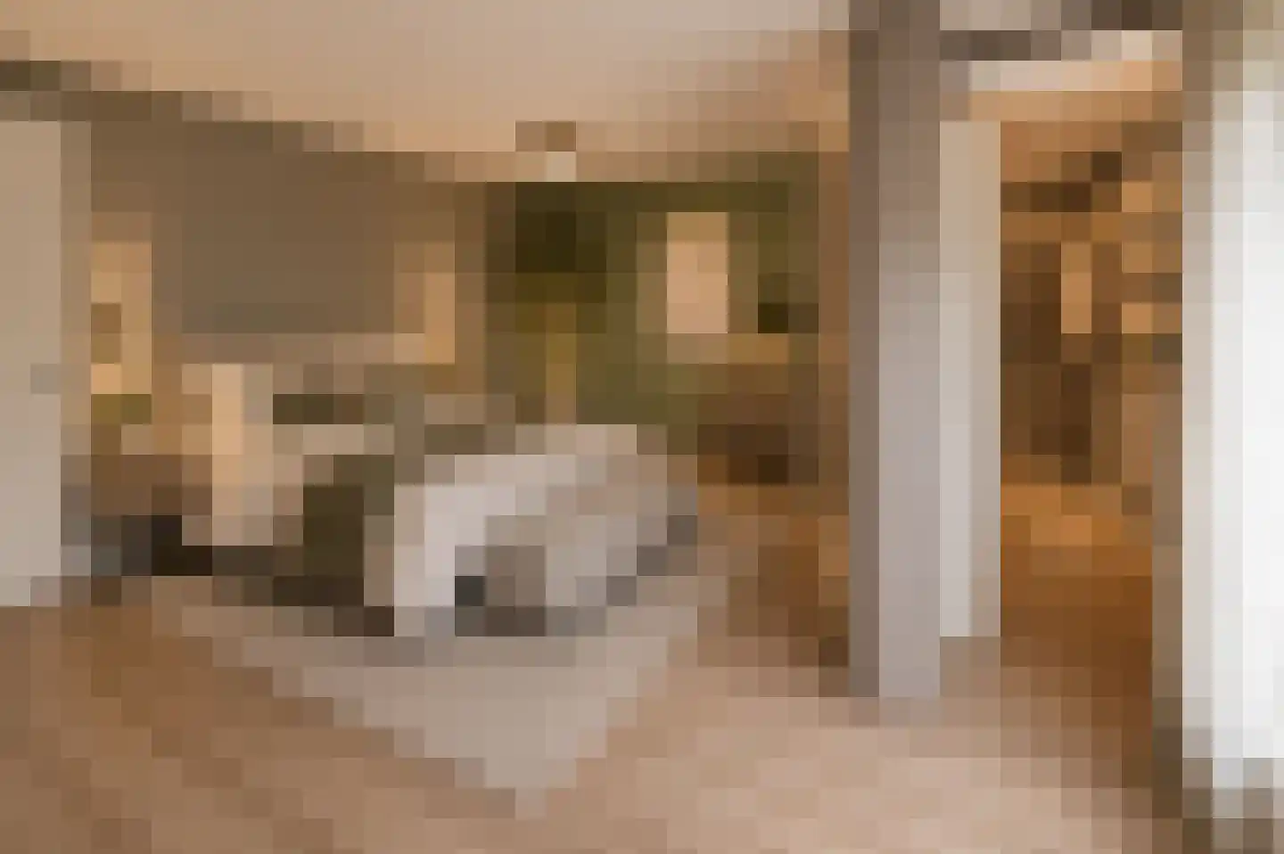 Tirionstraat 49 Zevenhuizen thumbnail 26