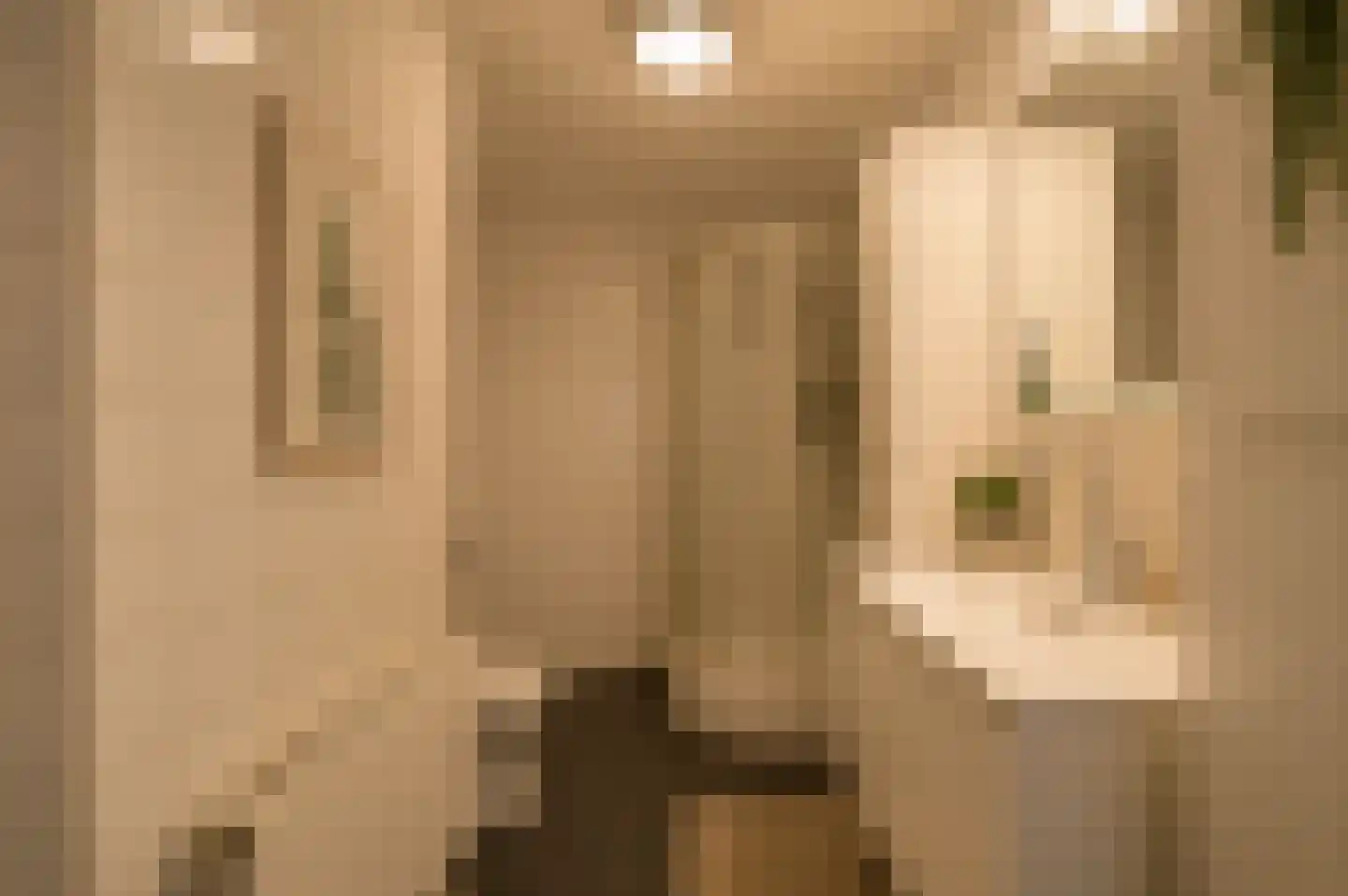 Tirionstraat 49 Zevenhuizen thumbnail 29