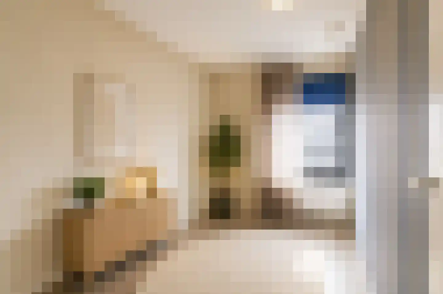 Tirionstraat 49 Zevenhuizen thumbnail 36