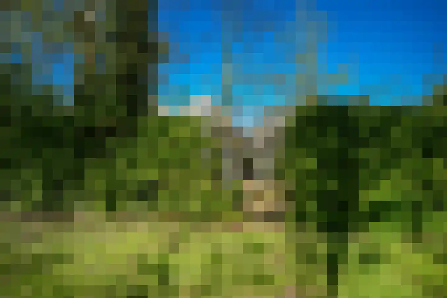 Tirol 104 Utrecht thumbnail 49
