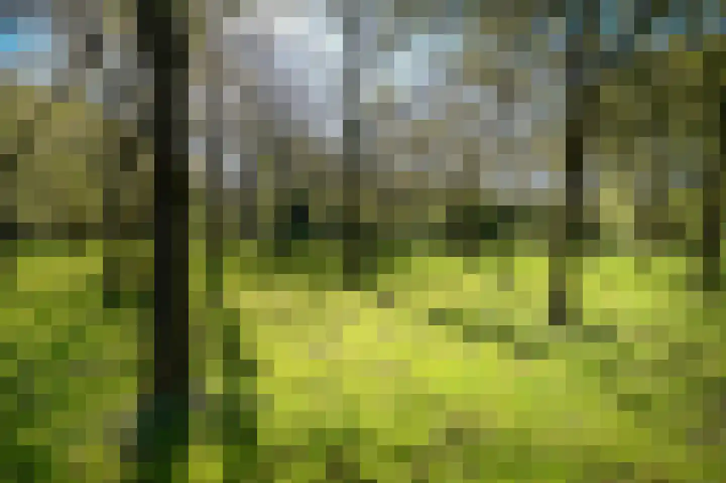 Tirol 104 Utrecht thumbnail 50