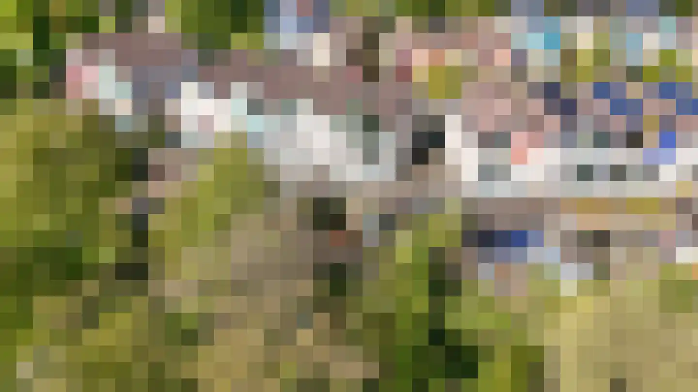 Tirol 104 Utrecht thumbnail 57