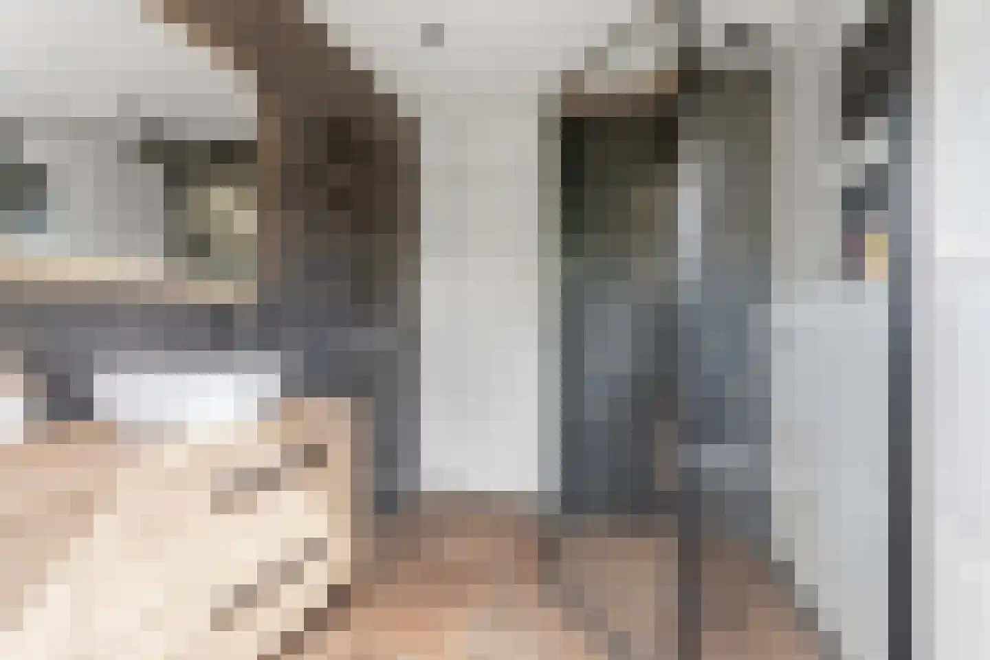 Tirol 21 Doetinchem thumbnail 32