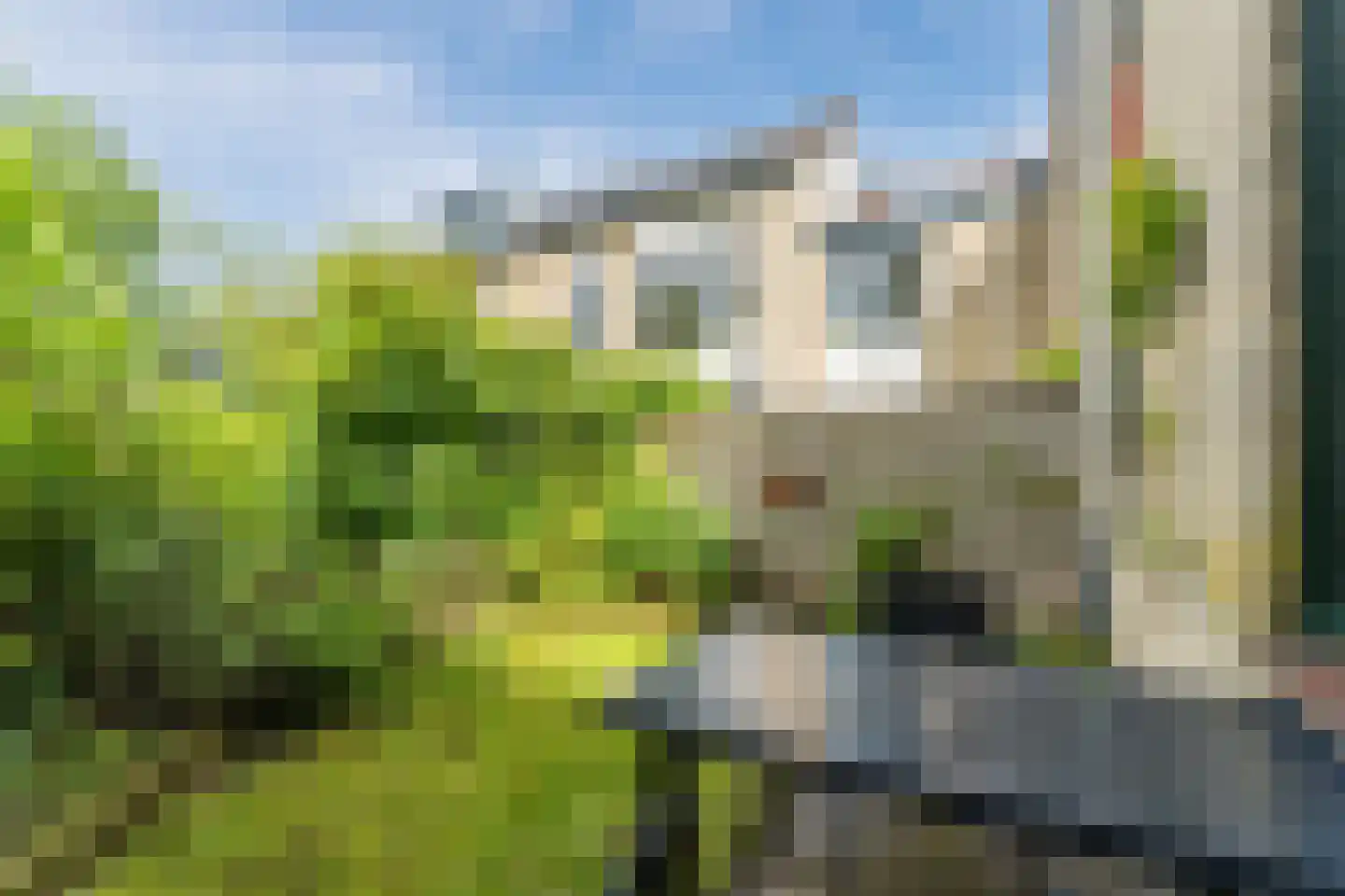 Tirol 33 Utrecht thumbnail 30