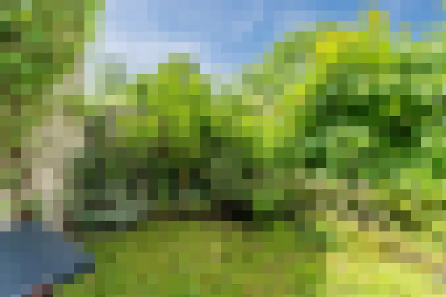Tirol 33 Utrecht thumbnail 32