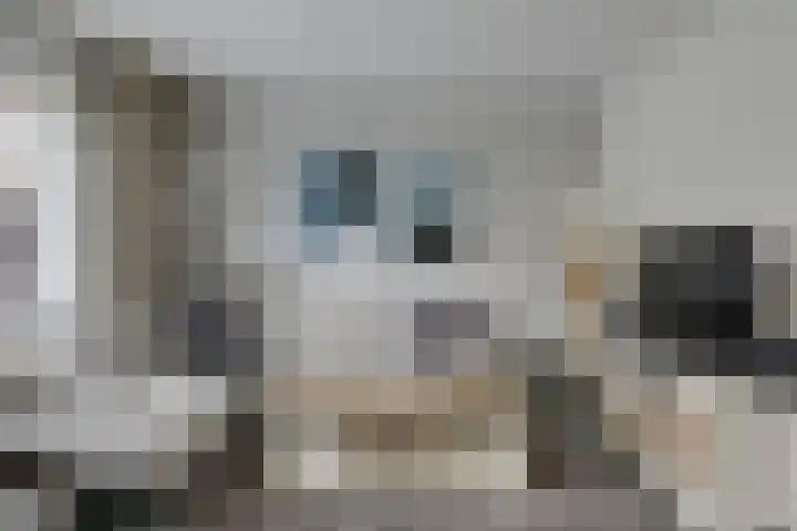 Tirol 7 Doetinchem thumbnail 12