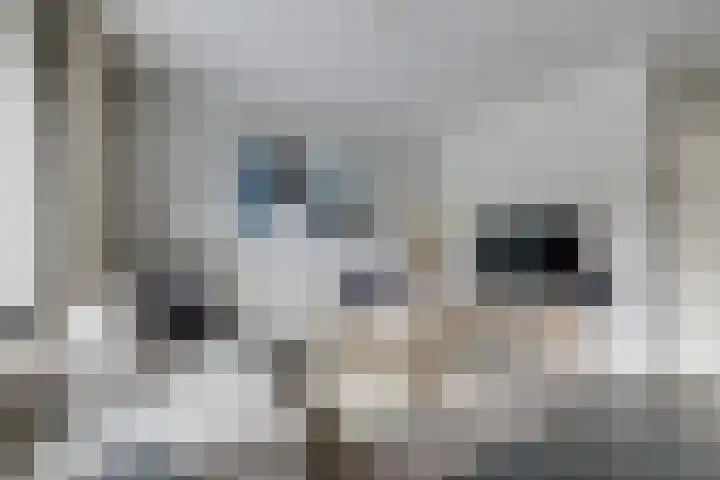 Tirol 7 Doetinchem thumbnail 13