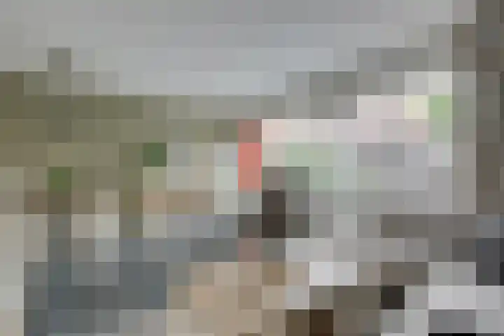 Tirol 7 Doetinchem thumbnail 14