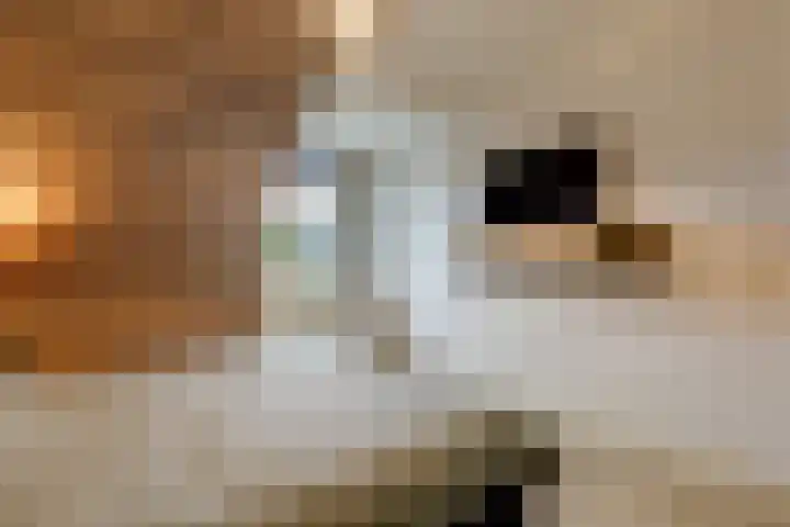 Tirol 7 Doetinchem thumbnail 38