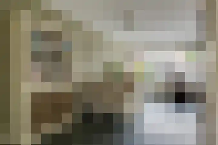 Tirol 7 Doetinchem thumbnail 9