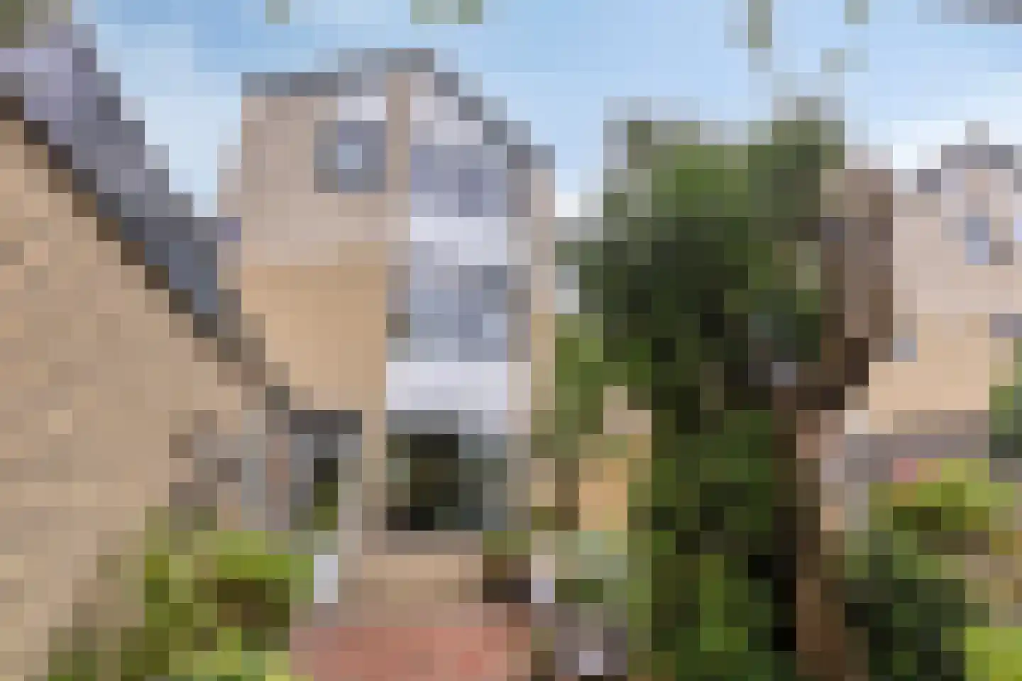 Tirol 72 Utrecht thumbnail 10