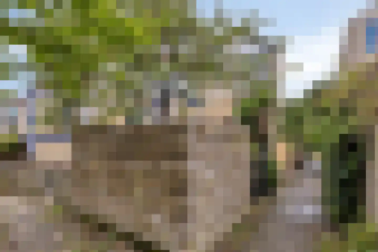 Tirol 72 Utrecht thumbnail 15