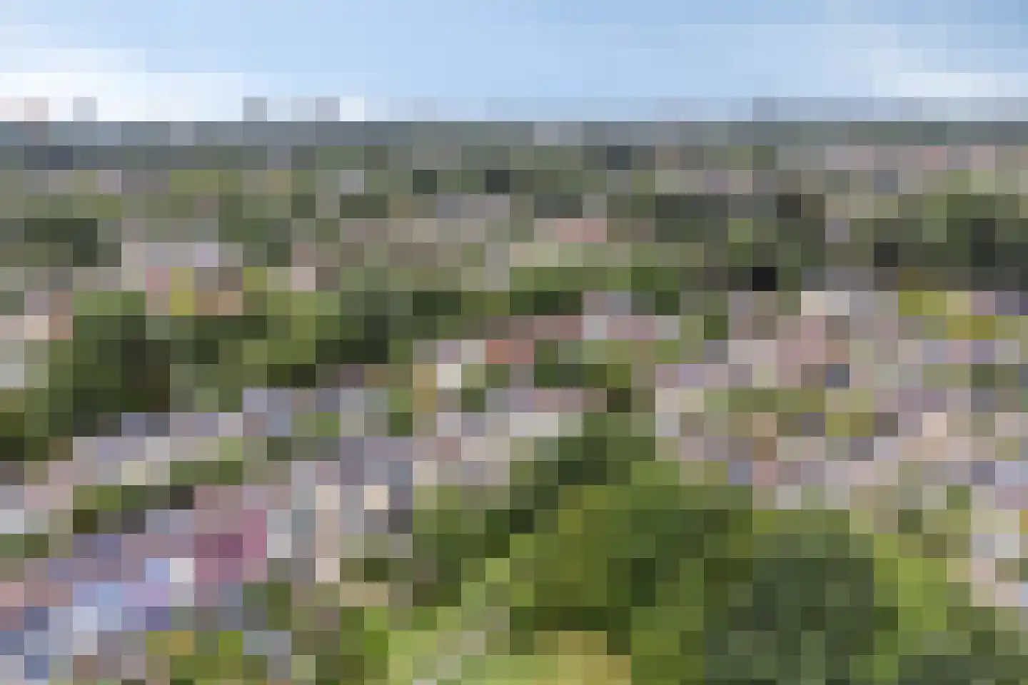 Tirol 72 Utrecht thumbnail 34