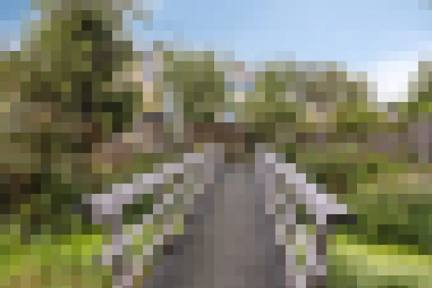 Tirol 72 Utrecht thumbnail 38